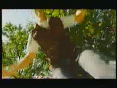 PDVD_005.JPG