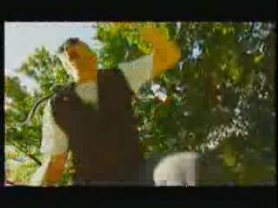 PDVD_007.JPG