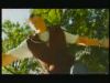 PDVD_004.JPG
