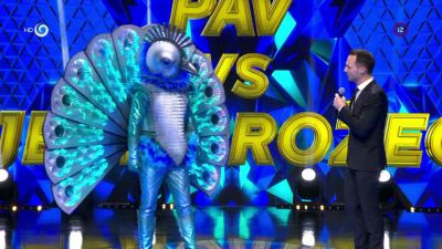 pdvd_012.jpg