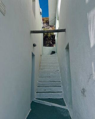 milos32.jpg