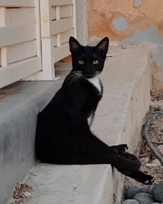 santorini12.jpg