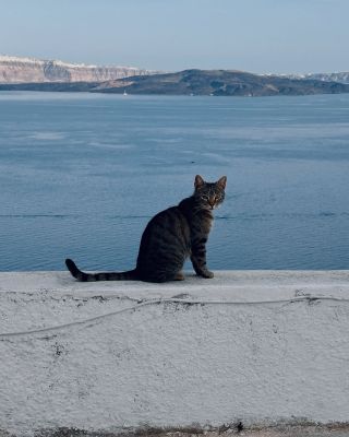 santorini23.jpg