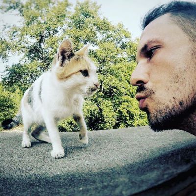 greek cat
:)
