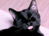 Filename=2.jpg
Filesize=63KiB
Dimensions=720x540
Date added=Mar 01, 2012 2.jpg