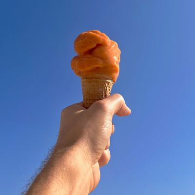48.jpg