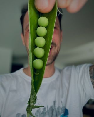 55.jpg
