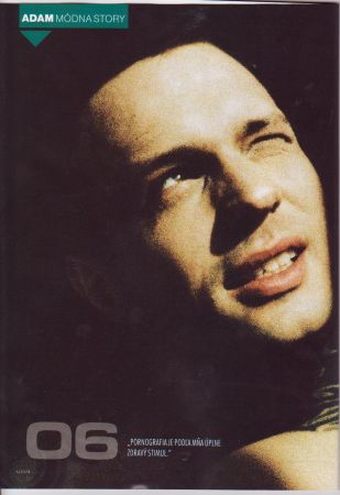 Pyco_001.jpg